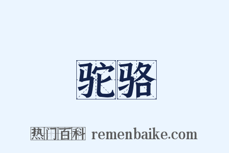 驼骆是什么意思的图片